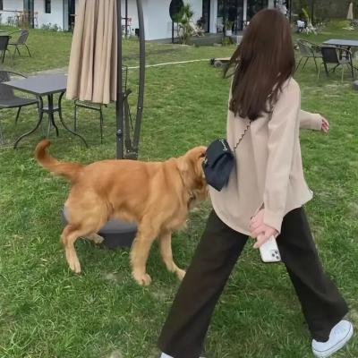 御用杀手